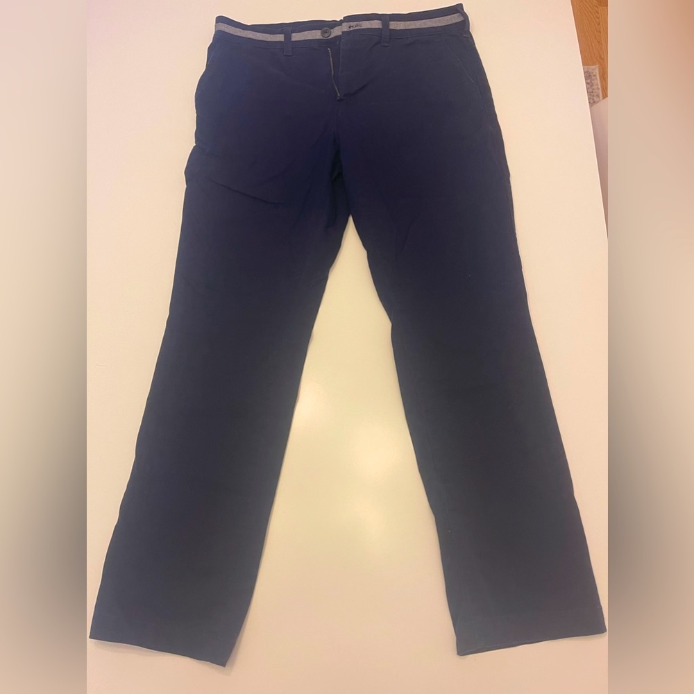 Express Dress Pants
